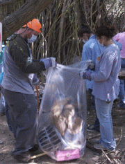 clucleanup.gif