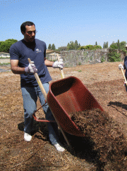 lifetechnologies.gif