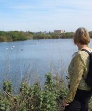estuary1.jpg