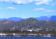 Two Trees from ocean.gif