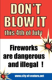 July 4th Safety
