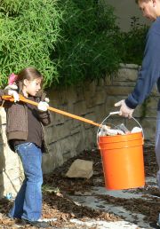 volunteer